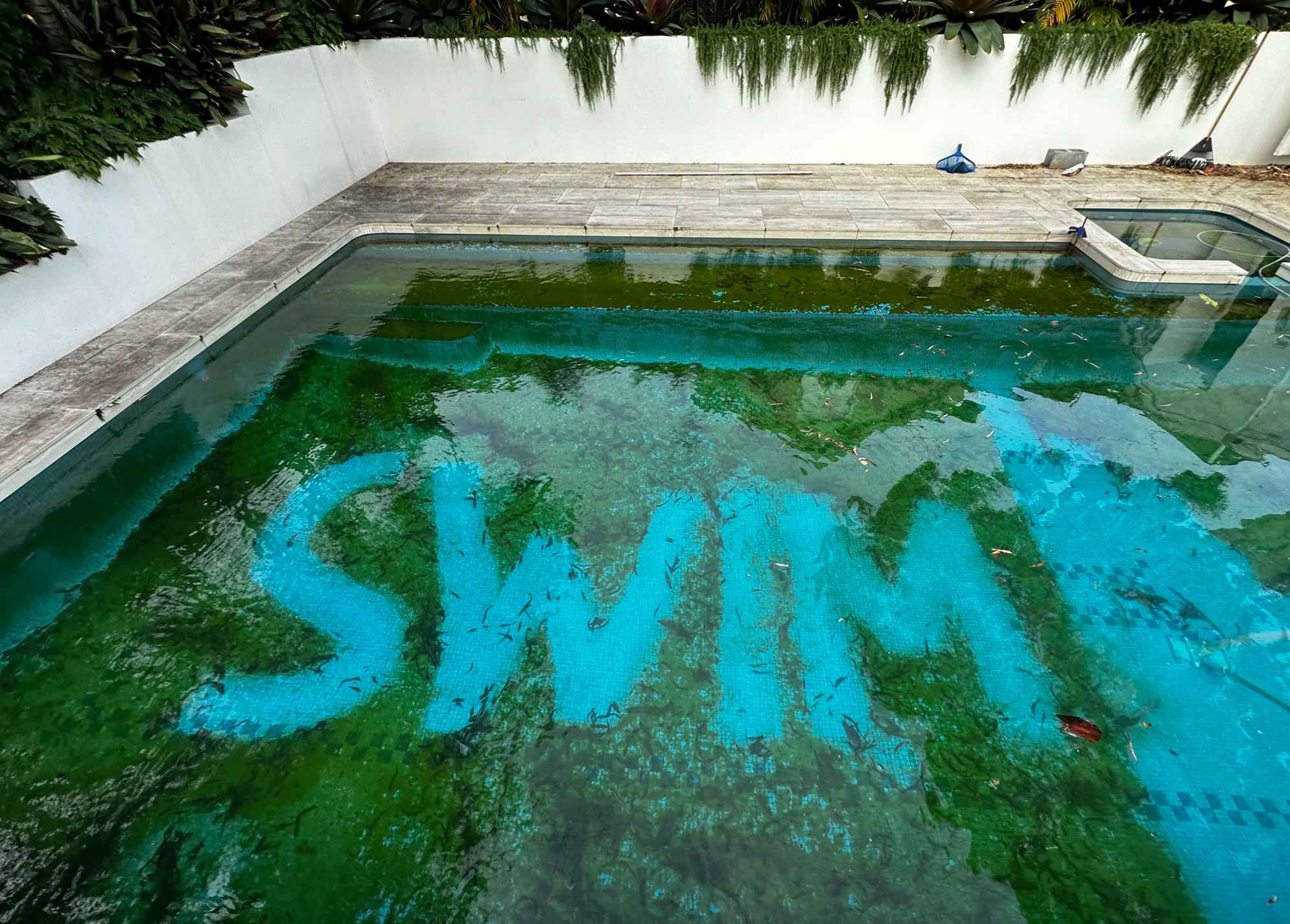 Green Pool Restoration Services